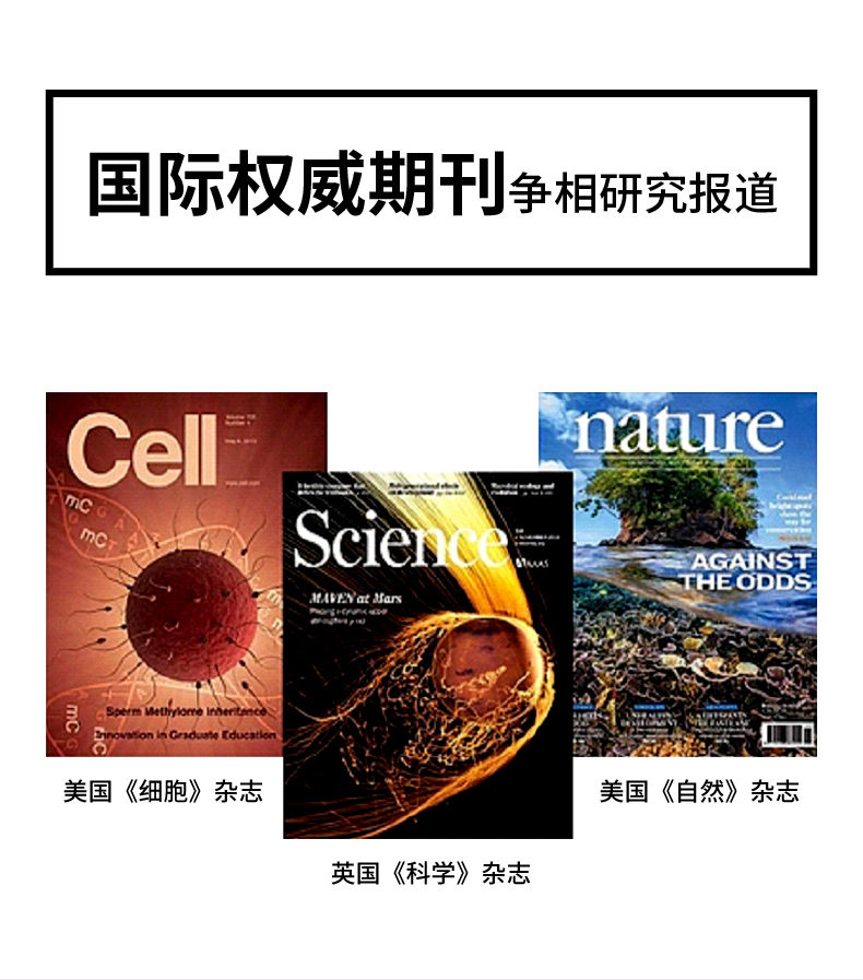 详情页_07.jpg